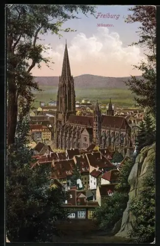 AK Freiburg / Breisgau, Münster