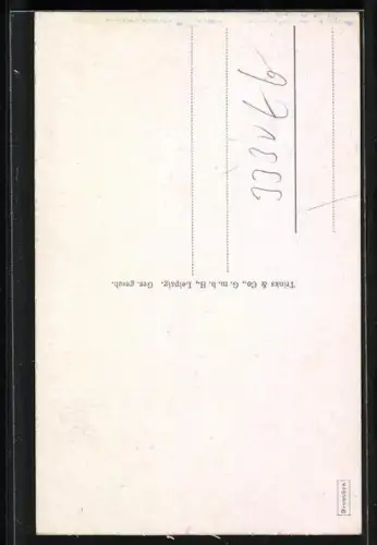 AK Helmstedt, Strassenpartie am Hausmannsturm mit Geschäften