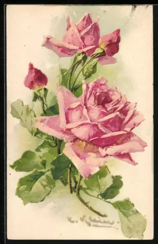 Künstler-AK Catharina Klein: Rosa Rosen