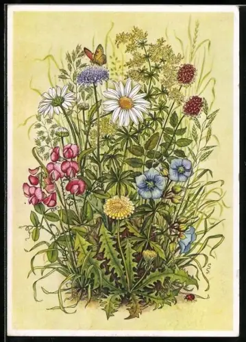 AK Stuttgart, Reichsgartenschau 1939, Wiesenblumen, Ausstellung