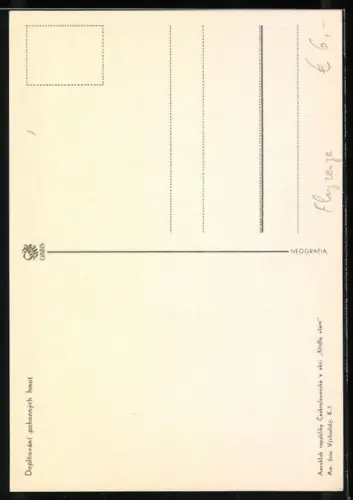 AK Tschechisches Flugzeug bei der Startvorbereitung