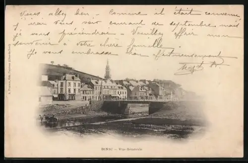 AK Binic, Vue Générale