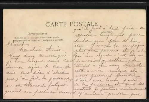 AK Binic, Vue Générale