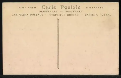 AK Ploumanac`h /Côtes-du-Nord, L`Hôtel des Rochers et vue sur la côte avec barque