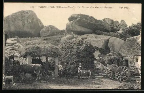 AK Trégastel /Côtes-du-Nord, La Ferme des Grands-Rochers