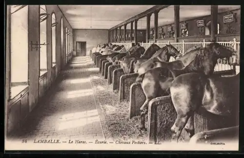 AK Lamballe, Le Haras, Écurie, Chevaux postiers