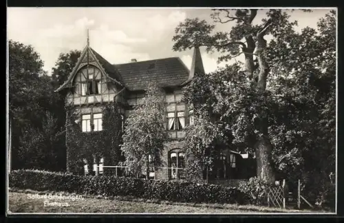 AK Schöningen, Gasthaus Elmhaus mit Garten
