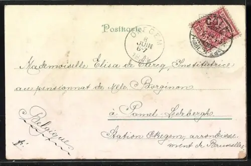 Lithographie Rüdesheim / Rhein, Niederwalddenkmal, Rheinpartie mit Dampfer, Schloss Rheinstein