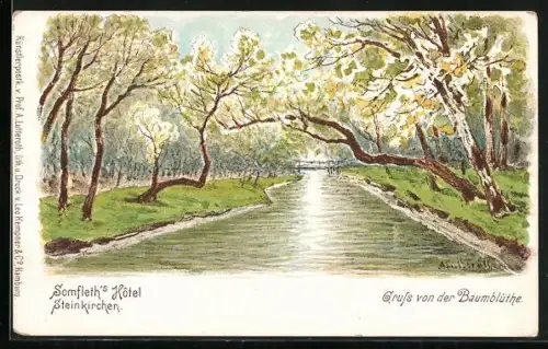 Lithographie Steinkirchen / Altenlande, Somfleths Hotel, Uferpartie bei Baumblüte
