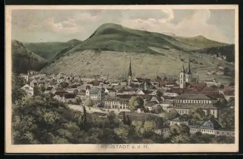 AK Neustadt / Hardt, Totalansicht mit Strasse und Bergpanorama