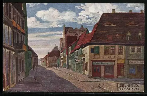Künstler-AK Bitterfeld, Burgstrasse, Gebrüder Raak, Anna Schiefer
