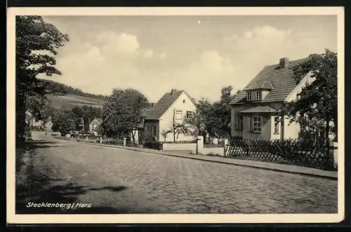 AK Stecklenberg /Harz, Strassenansicht mit Wohnhäusern und Vorgärten