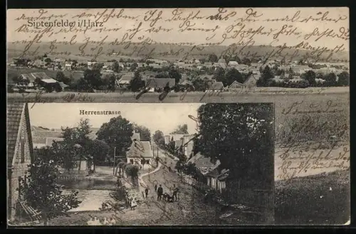 AK Siptenfelde i /Harz, Gesamtansicht, Herrenstrasse