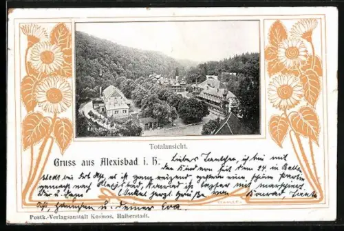 AK Alexisbad i. H., Totalansicht
