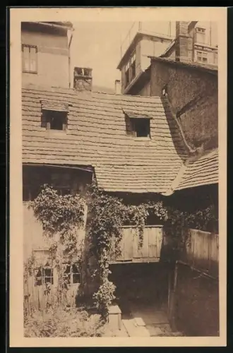 AK Jena, Collegiengasse, Alter Hof