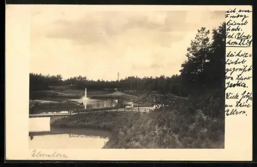 Foto-AK Elmshorn, Stadtpark-Partie mit Teich und Springbrunnen