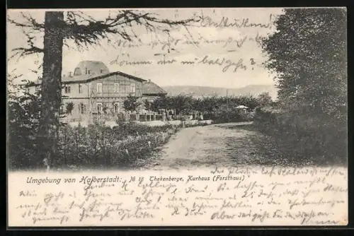 AK Halberstadt, Thekenberge, Kurhaus / Forsthaus mit Strassse