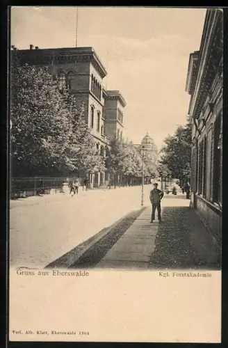 AK Eberswalde, Kgl. Forstakademie mit Strasse, Kuppelgebäude