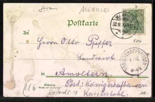 Lithographie Barnum and Bailey Limited, Grösste Schaustellung der Erde, Kunstreiter, Pony, Irische Jagdpferde