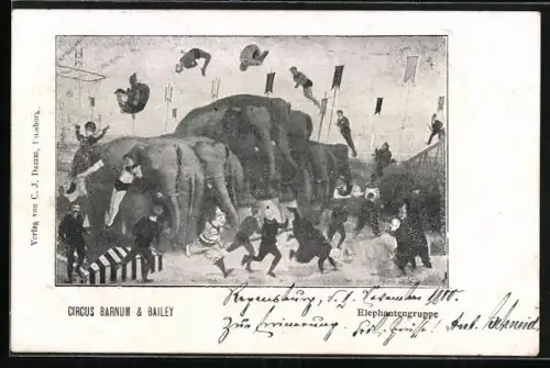 AK Circus Barnum & Bailey, Elephantengruppe