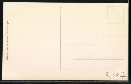 AK Constantinople, Vue panoramique du port et ou Bosphore