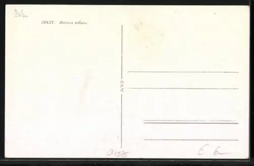 AK Split, Boticeva poljana, Palme