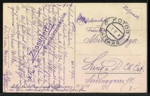 AK Kotor / Cattaro, Ortsansicht