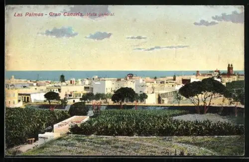 AK Las Palmas, Panorama