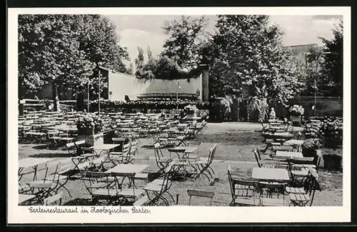 AK Berlin, Gartenrestaurant im Zoologischer Garten, Budapester Strasse 20