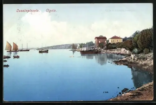 AK Lussinpiccolo, Cigale