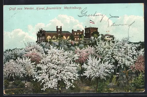 AK Werder a. H., Wachtelburg bei Baumblüte