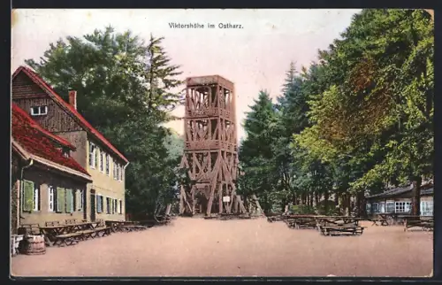 AK Viktorshöhe im Ostharz, Waldpartie mit Waldgasthaus und Aussichtsturm