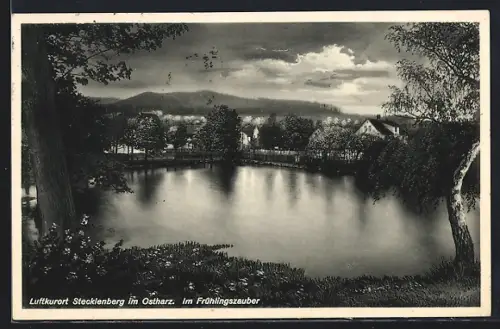 AK Stecklenberg im Ostharz, Frühlingslandschaft mit Teich und Häusern
