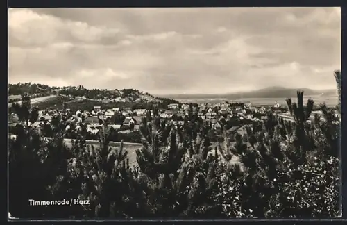 AK Timmenrode /Harz, Ortsansicht