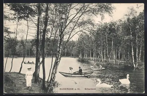 AK Suderode a. H., Silberteich, Ruderboote, Schwäne