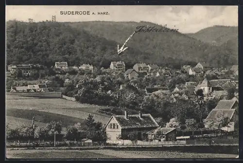AK Suderode a. Harz, Gesamtansicht mit Forsthausstein