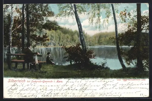 AK Suderode-Gernrode / Harz, Uferpartie am Silberteich