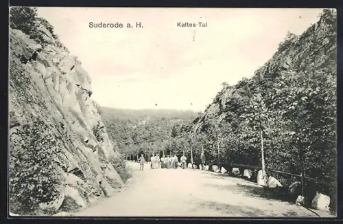 AK Suderode a. H., Kaltes Tal