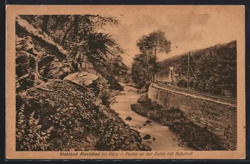 AK Alexisbad im Harz, Partie an der Selke mit Bahnhof