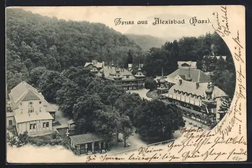 AK Alexisbad /Harz, Kurhaus, Hotelanlagen, Waldpanorama