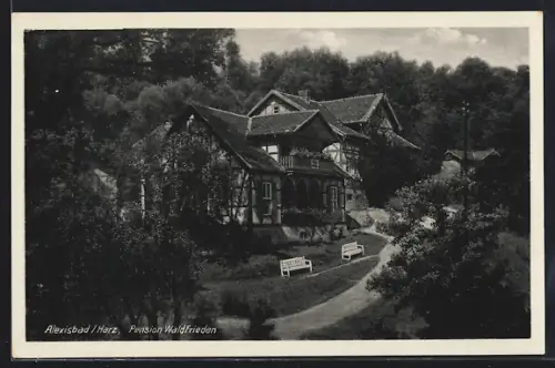 AK Alexisbad /Harz, Pension Waldfrieden