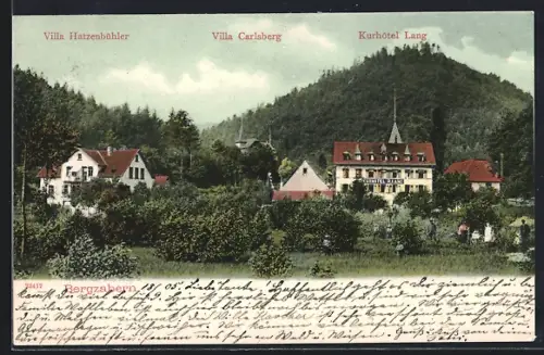 AK Bergzabern, Kurhotel Lang, Villa Hatzenbühler, Villa Carlsberg