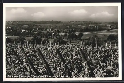 AK Schweigen, Blick vom Deutschen Weintor auf Weissenburg