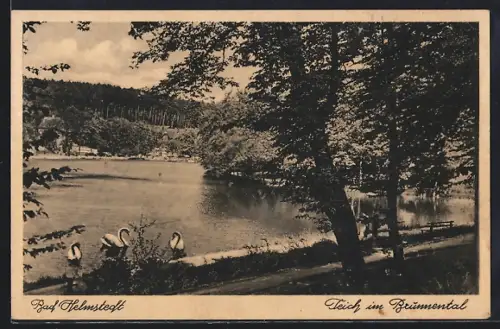 AK Helmstedt, Teich im Brunnental