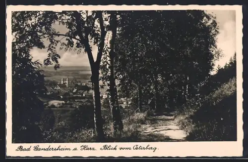 AK Gandersheim a. Harz, Blick vom Osterberg