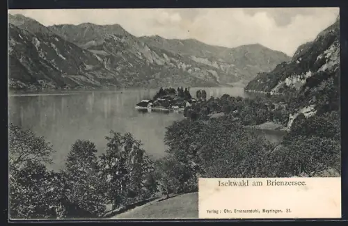 AK Iseltwald am Brienzersee, Panorama mit Bergen