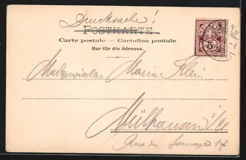 AK Bern, Blick auf das Münster