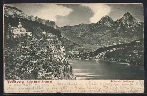 AK Seelisberg, Blick nach Brunnen