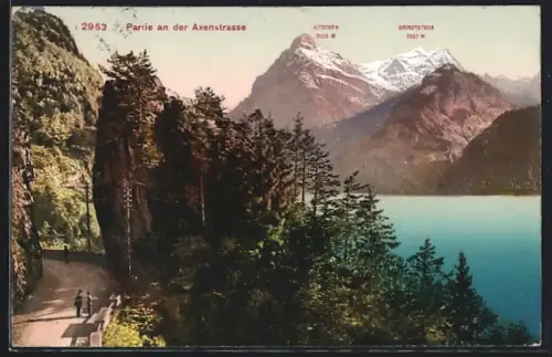 AK Axenstrasse, Strassenpartie mit Gitschen und Urirotstock