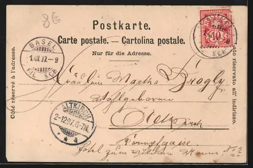 AK Basel, Münster, Panorama